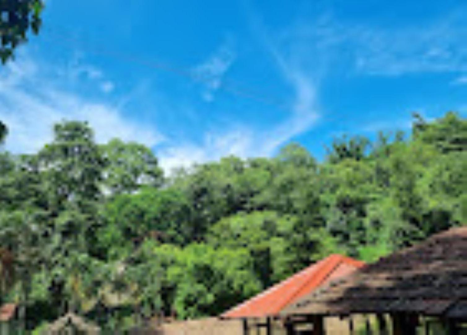 Brahmaputra Jungle Resort Guwahati Zewnętrze zdjęcie