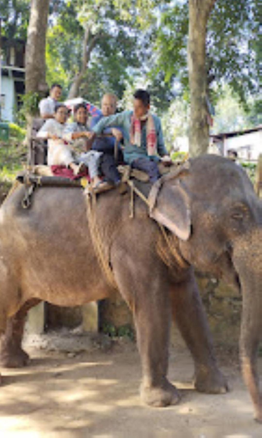 Brahmaputra Jungle Resort Guwahati Zewnętrze zdjęcie