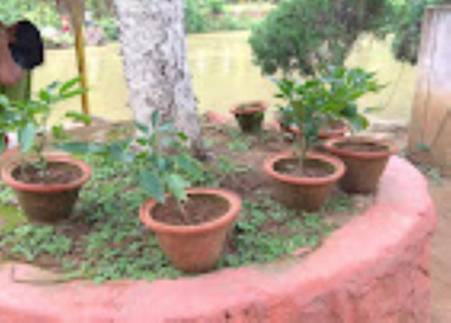 Brahmaputra Jungle Resort Guwahati Zewnętrze zdjęcie