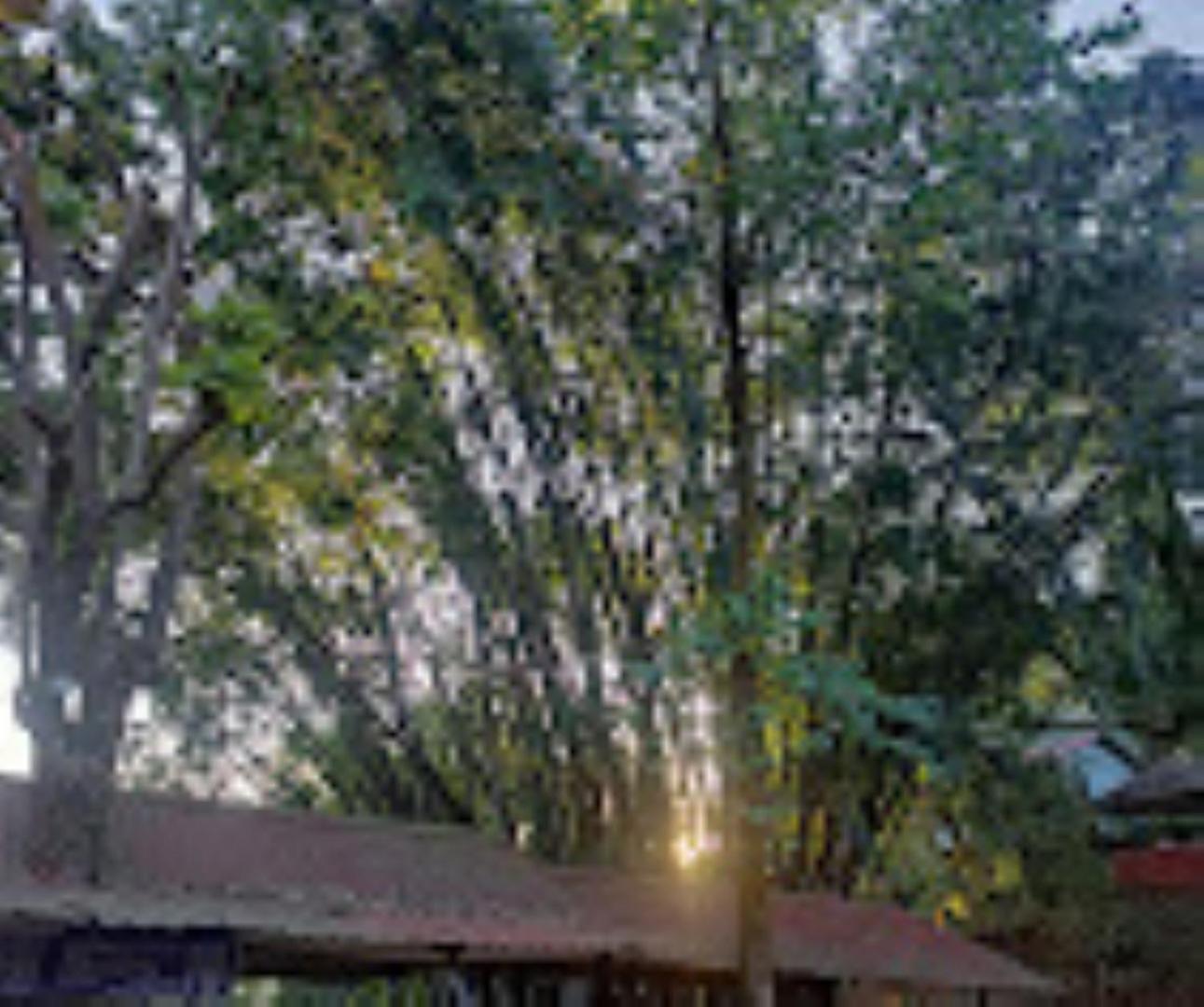 Brahmaputra Jungle Resort Guwahati Zewnętrze zdjęcie