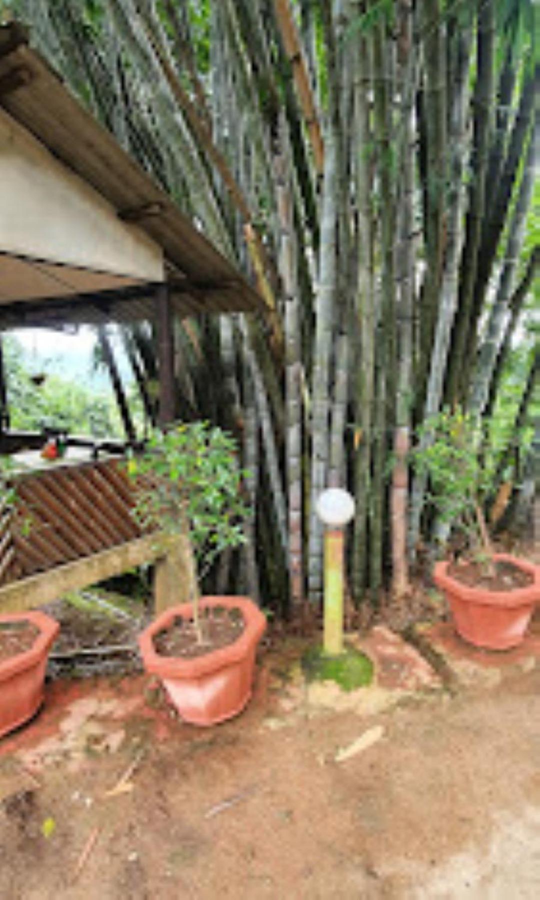 Brahmaputra Jungle Resort Guwahati Zewnętrze zdjęcie