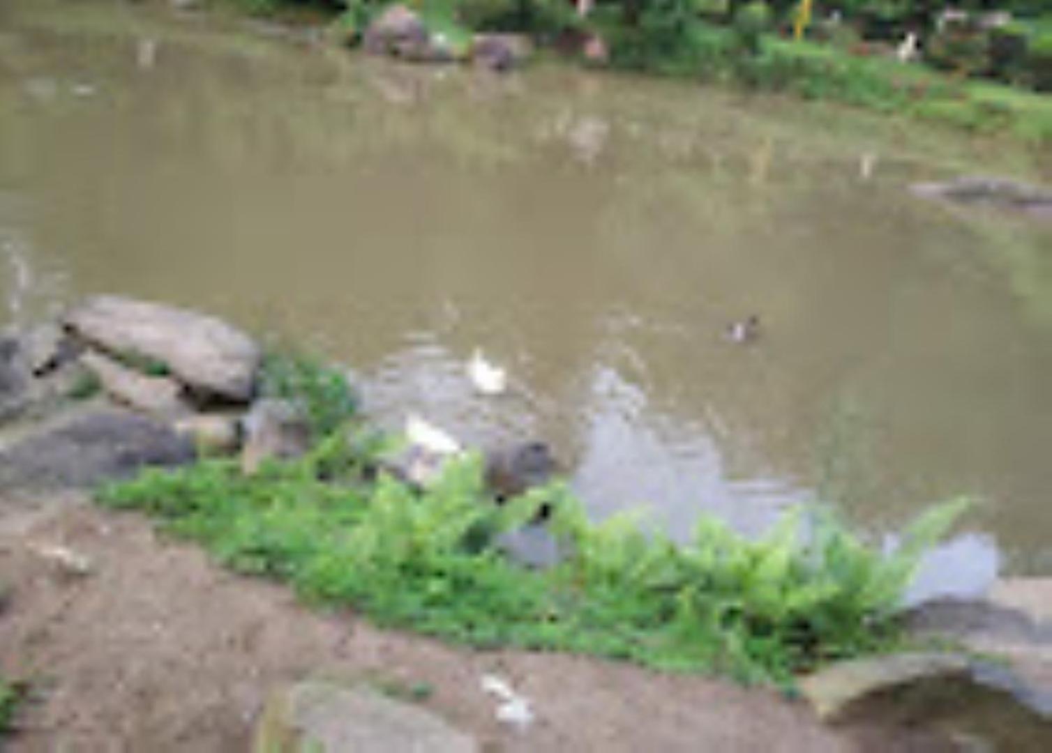 Brahmaputra Jungle Resort Guwahati Zewnętrze zdjęcie