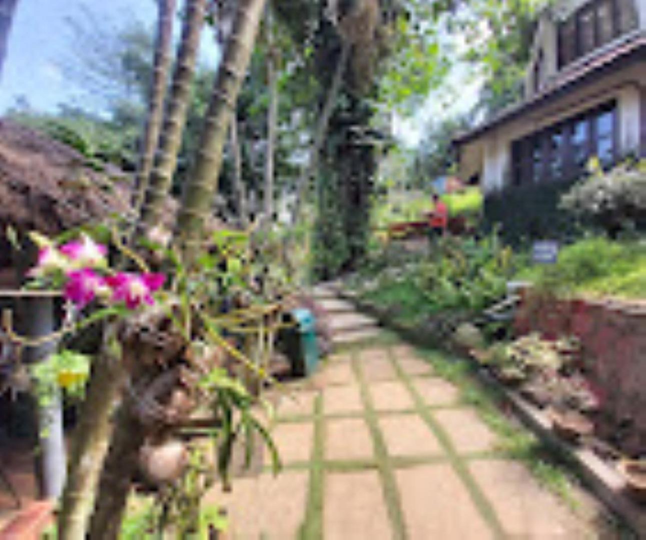 Brahmaputra Jungle Resort Guwahati Zewnętrze zdjęcie